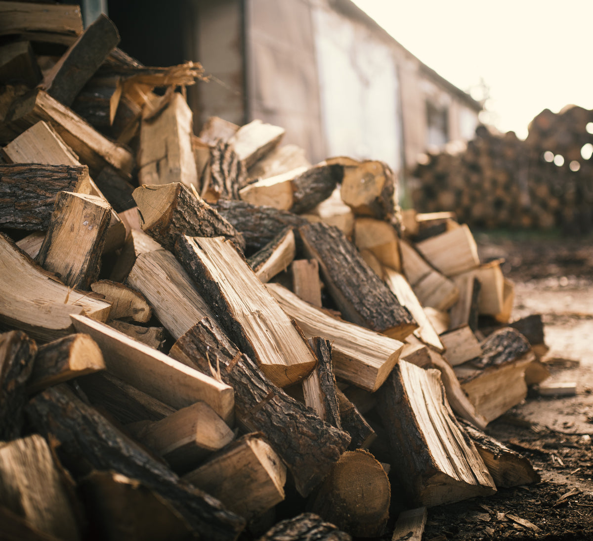 Softwood logs in fife firewood LogsInFife